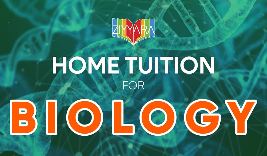 Online Home Tuition For Biology